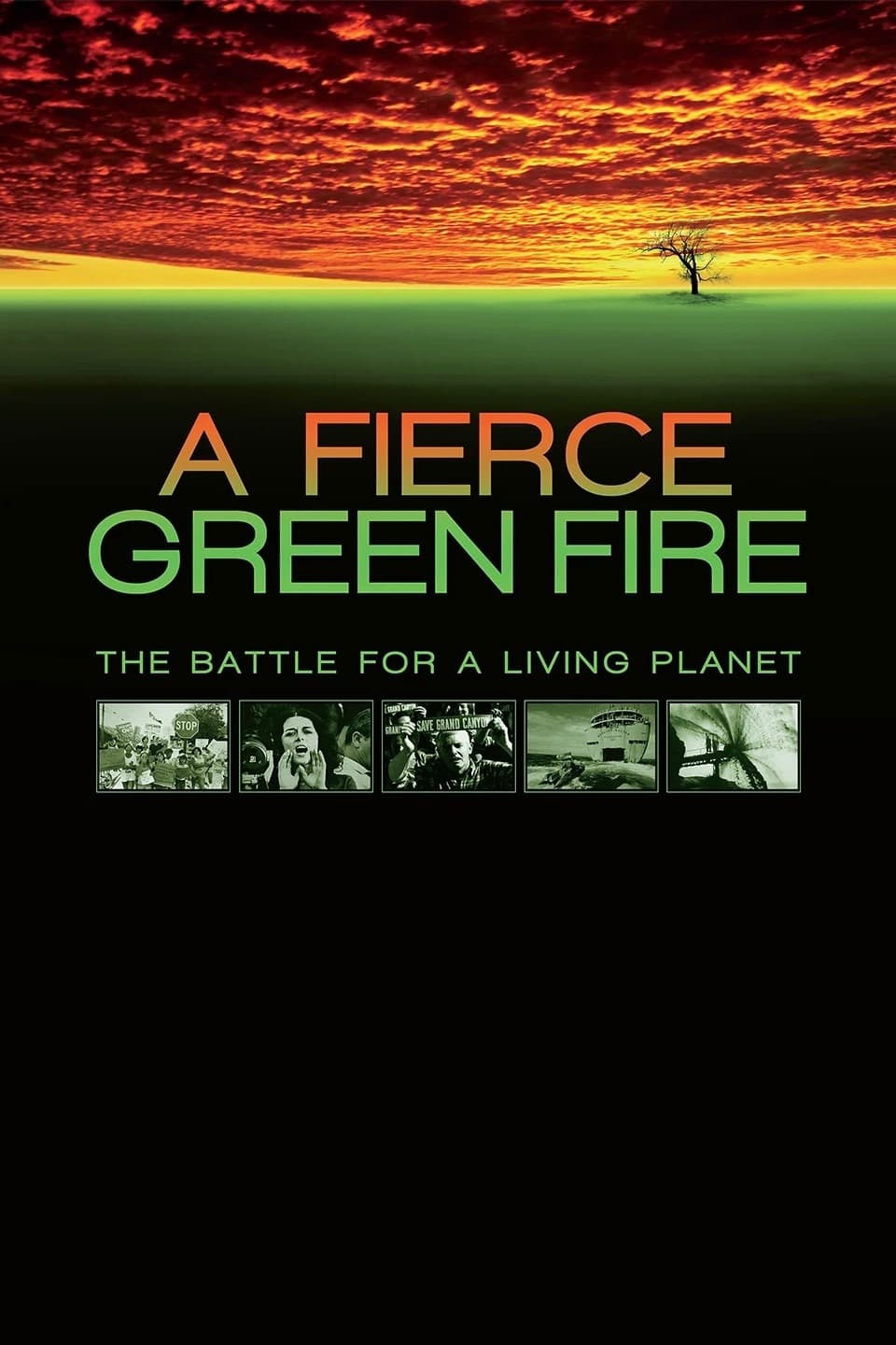 Постер A Fierce Green Fire